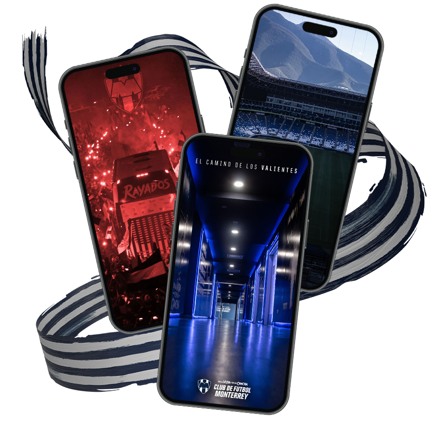 Contenido exclusivo, filtros, wallpapers, etc