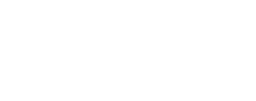 brisket